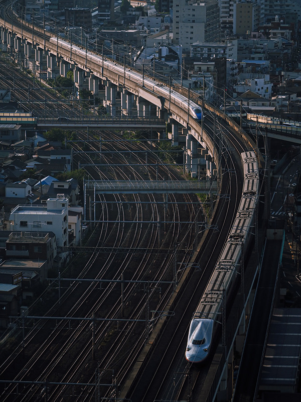 The Train Of Tokyo
