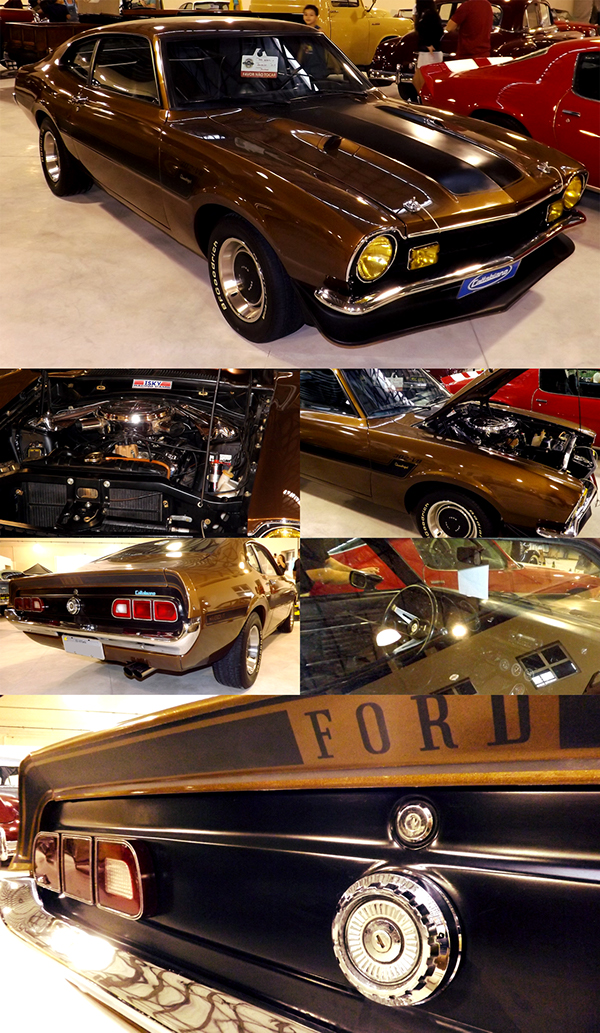 Classic Cars reunion showroom camaro jaguar Ford cadillac photo car vintage MMC Vitoria espírito santo Brazil