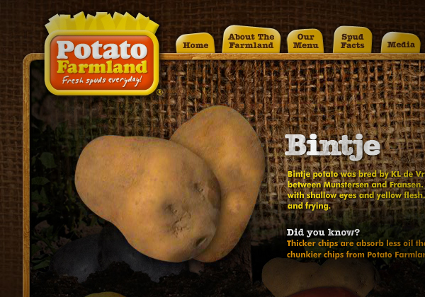 potato  farm potato farmland Wendy's Fast food Food Website potatoes chips french fries baked potatoes rustic vintage