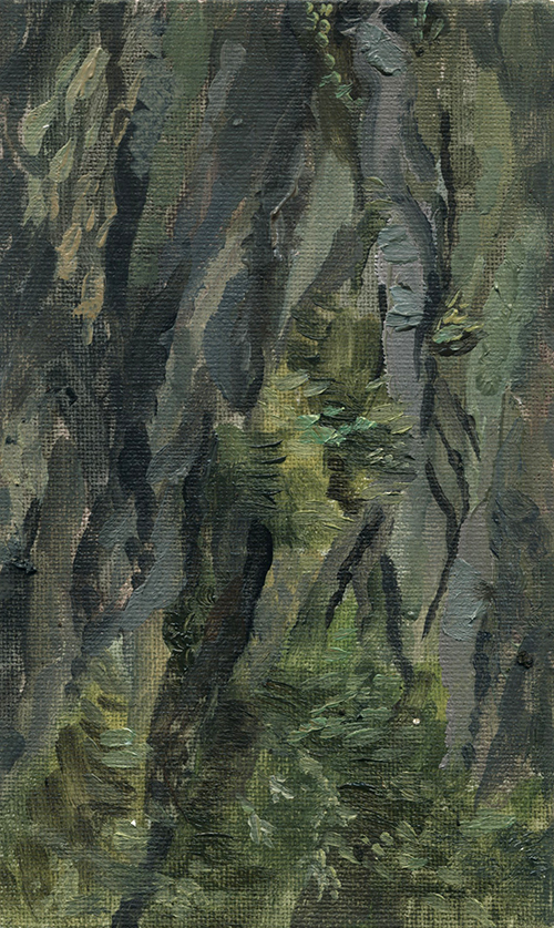 масляная живопись  древесная кора лес этюды береза сосна Oil Painting tree bark forest sketches birch pine