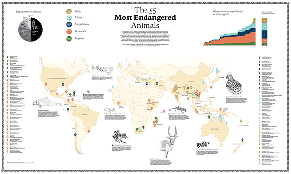 the 55 most endangered animals on Behance
