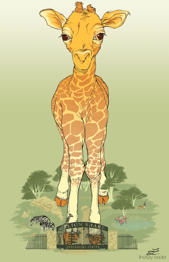 baby giraffe zoo