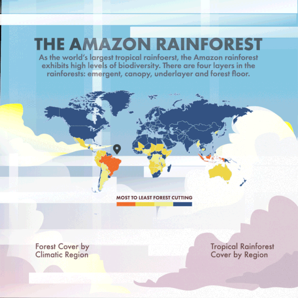 Amazon Rainforest Infographics on Behance