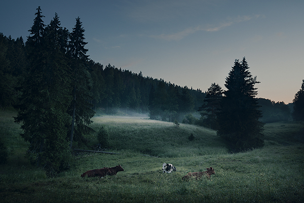 night mood atmosphere light shadow SKY fog mist Nikon D800 photographs photo pictures new mikko lagerstedt