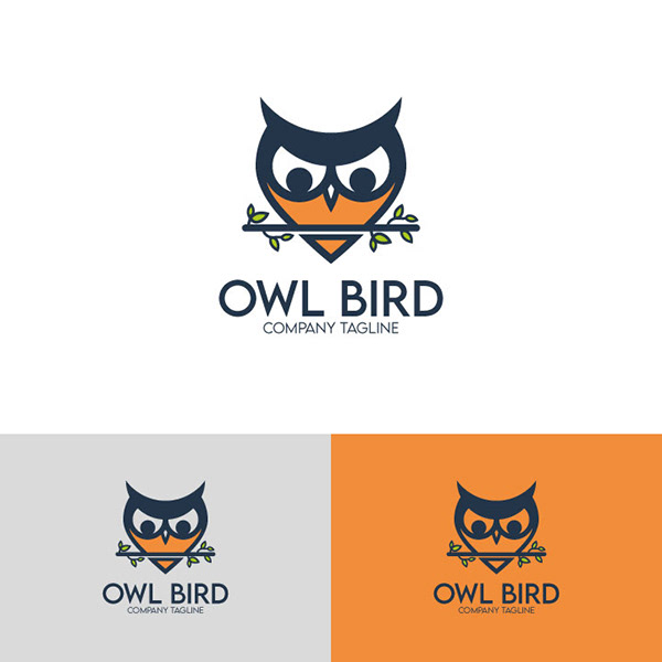 owl bird logo design