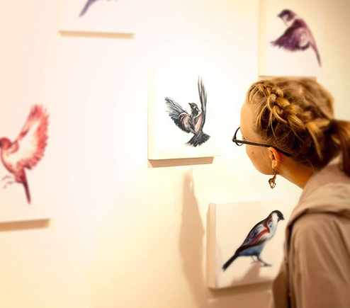 Adobe Portfolio birds bird fine art gallery energy flight inspiration Nature animal oil