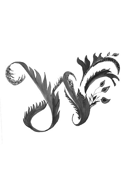 Calitipografia Ilustração ILUSTRA tipografia abecedario the quick fox jumps over the laz dog tipo