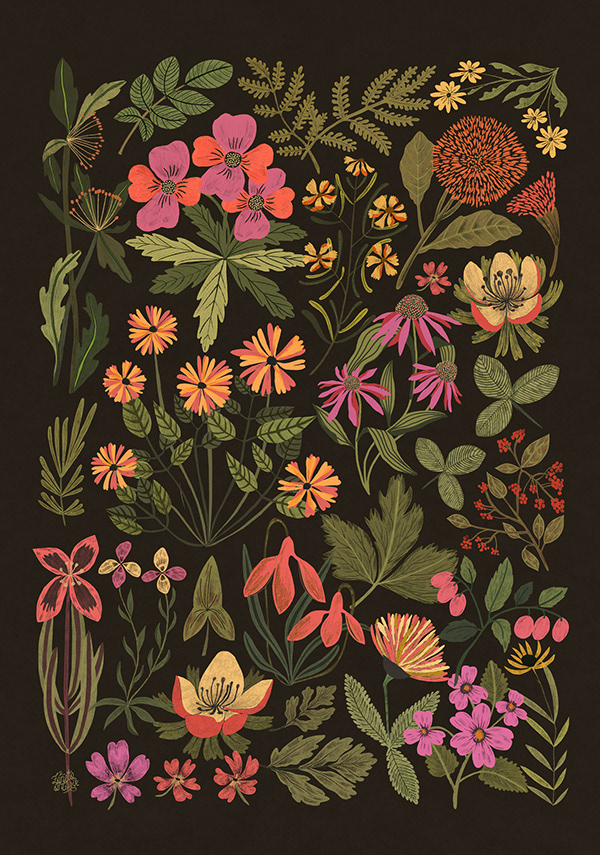 Plants retro illustrations