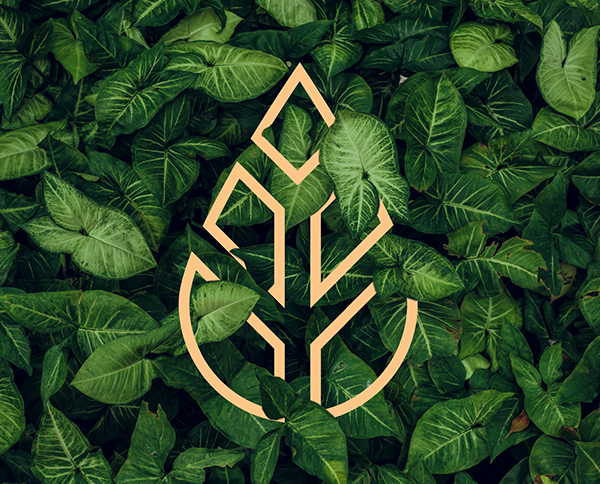 Leaf Life - Corporate Identity and Branding