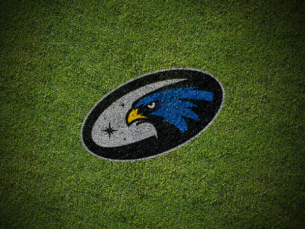 Hawks sports logo new Illustrator photoshop blue field