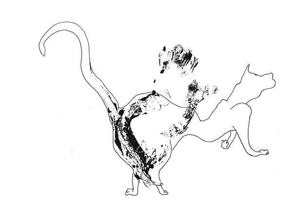 lines line drawing ink black and white Cat movement motion sint-lukas