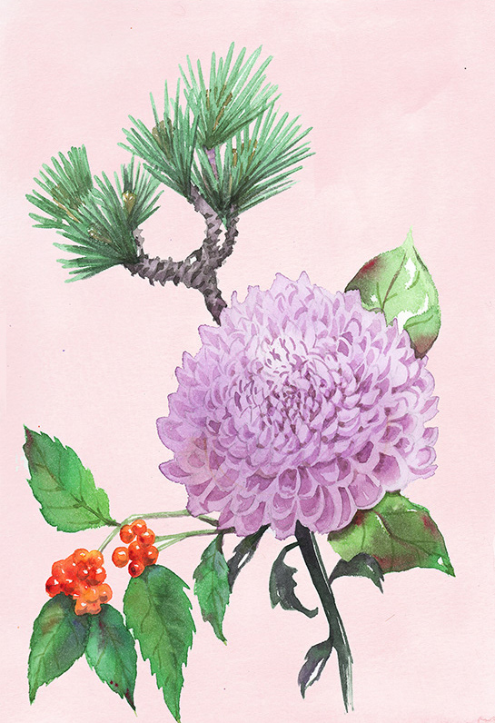 botanical flower graphic japan painting   pink watercolor ILLUSTRATION  fine art floral art