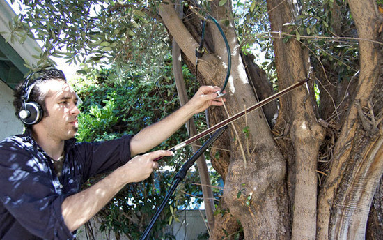 Diego Stocco diego Stocco sound design Sound Design  designer Composer composition Music from a Tree music Tree  experimental Røde NT6 Røde NTG-2 Modified stethoscope Custom Techniques