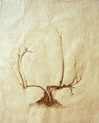 trees japanese paper ink pen drawings lucrece de natura arbres poesie poetry