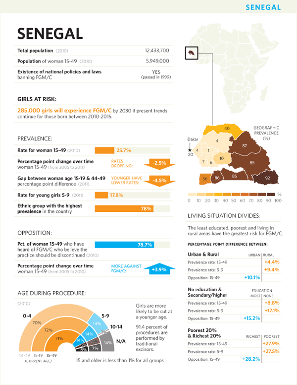 UNFPA unicef FGM/C female circumcision africa infographics Human rights women's rights data visualization Data Viz