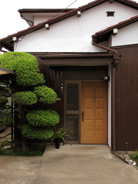 tokyo pot garden bonsai Plant japan potted
