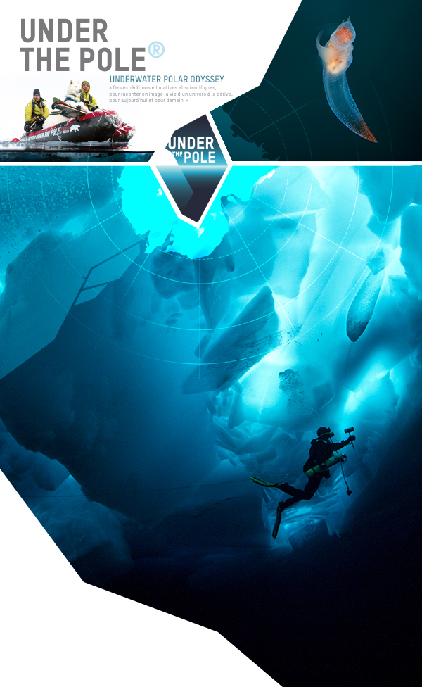 diving submarine sea water ice biodiversity exploration identity logo science iceberg Arctic North Pole ZK