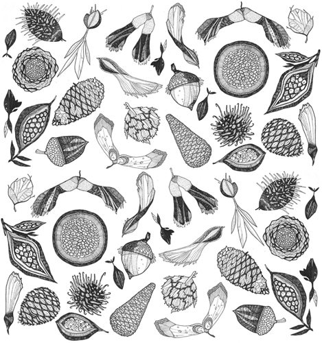 seeds trees pattern wallpaper