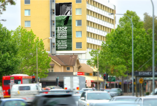 Greenpeace whaling deforrestation global warming activist greenie green Duotone Badges billboard