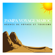 logo  branding design motion pampa voyage agency Travel