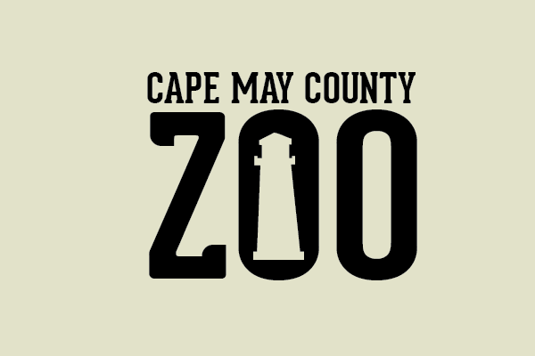 zoo Cape May Responsive Design mobile iPad tablet