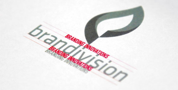 brandivision cd Corporate Design