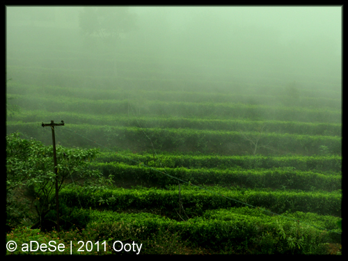 travelogue landscapes people ooty India south India