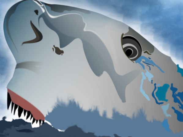 shark sea water Scary teeth illustrations design blue klajdi robo