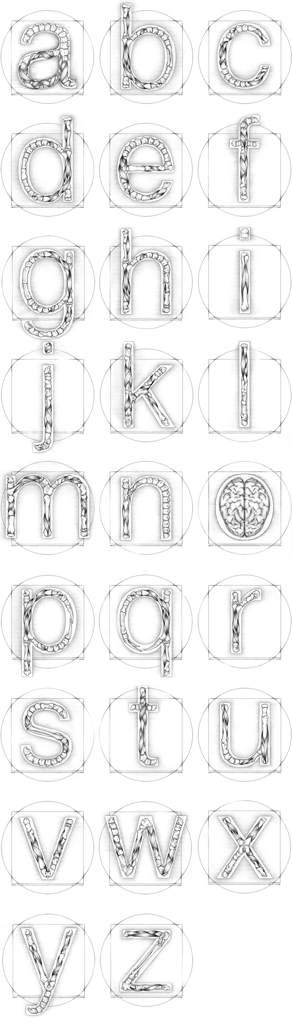 anatomy autosugestija Typeface font