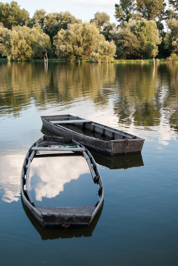 Danube river Boats reflections peace swans fishermen