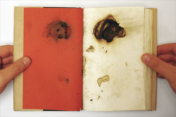 glaobalwarming Exhibition  alteredbook experimental bookmaking book wildfires awareness trees