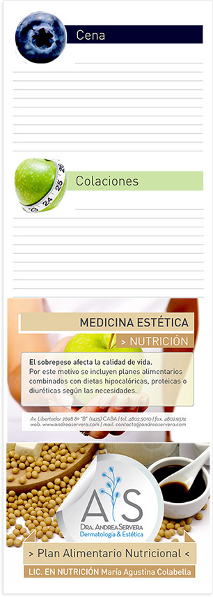 printed design diseño impreso Diseño Digital PRESENTACION DIGITAL flyer bag Bolsas Folletos Desplegables foldout