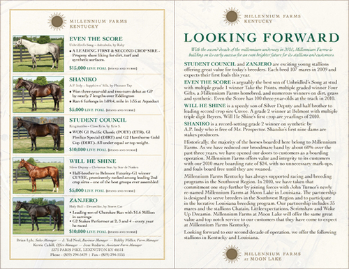 Millennium farms horse equine thoroughbred farm stallion brochure directory advertisement ad brand gold green Sun sundial dial photos corporate agriculture ag Kentucky bluegrass grass pedigree race Racing Breed breeding Direct mail Direct mail postcard post card 4-color color mailing