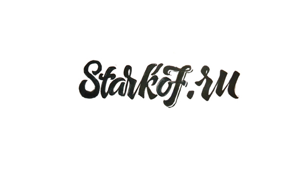 logo Logotype webstudio Web studio starkoff lettering handmade