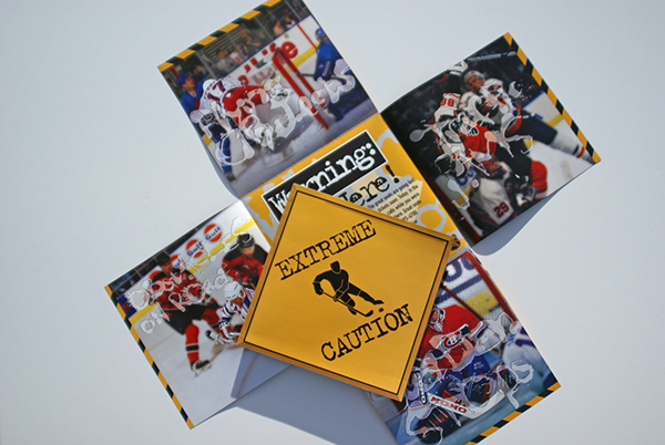 NHL's Colorado Avalanche season ticket brochure on Behance
