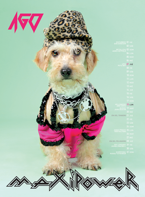 dogs pets calendar costume metal rock print