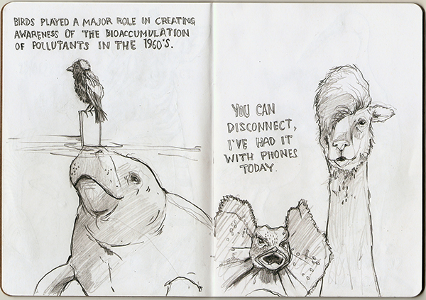 sketchbook animals text Project
