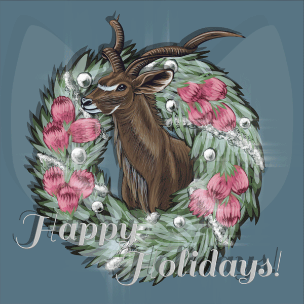 motion graphic holiday ecard adobe illustrator Adobe Photoshop Adobe Aftereffects Kudu protea south africa Christmas