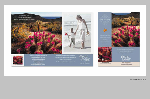 Luxury Real Estate brochure ads stationary