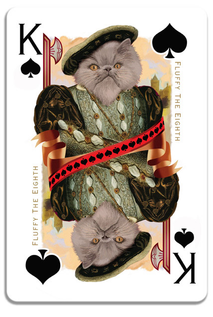 cats Cat cards