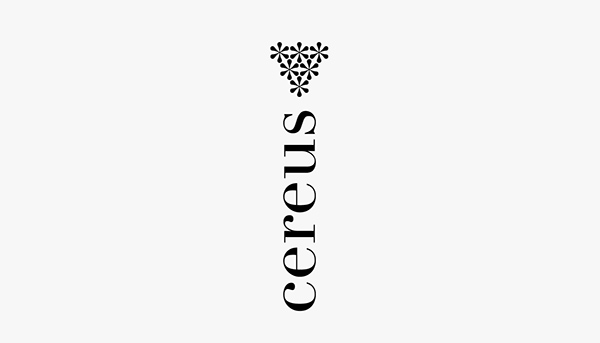 Cereus · Identity and packaging.