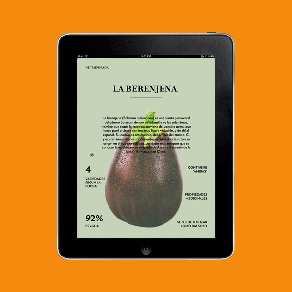 digital  Magazine   ipad Food 