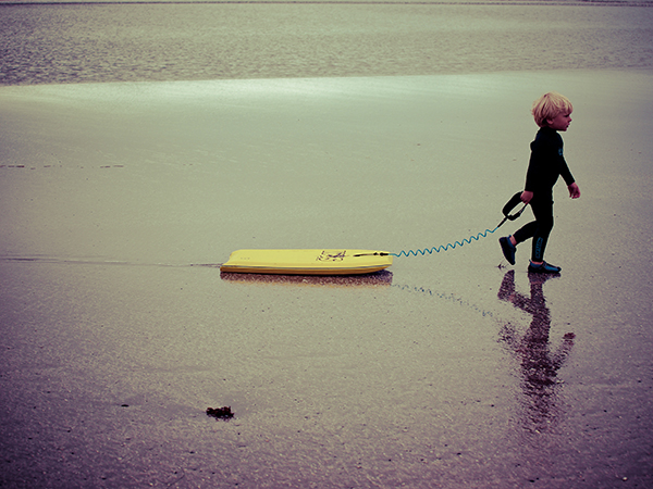 Canada  Tofino  vancouver island  British Columbia  pacific rim  surf  sea  Waves  people   bear  Seal   whales