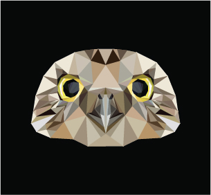 geometric rabbit owl art digital
