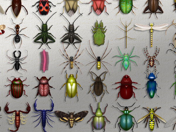 iPad application Insects videogame