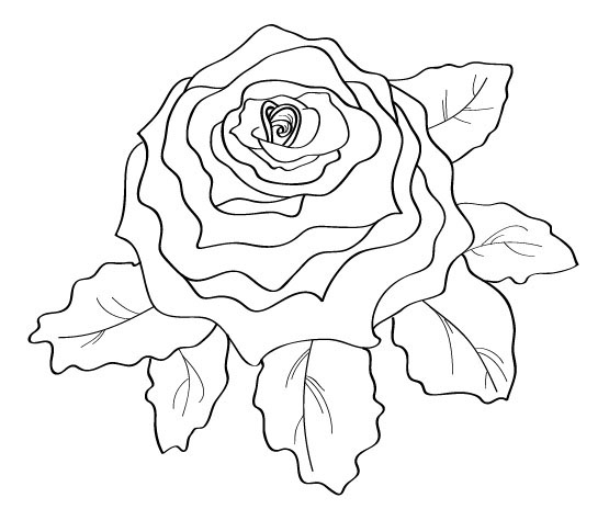 rose red Illustrator process green Roses valentine romantic romance