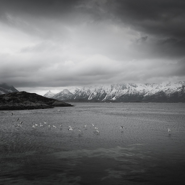 norway Nordland black and white fine art monochrome landscapes seascapes mountains Ocean norvegian sea fish