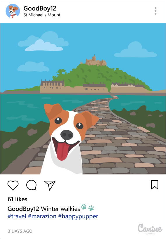 holidays pets dogs Italy instagram