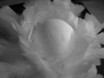 sphere feathers