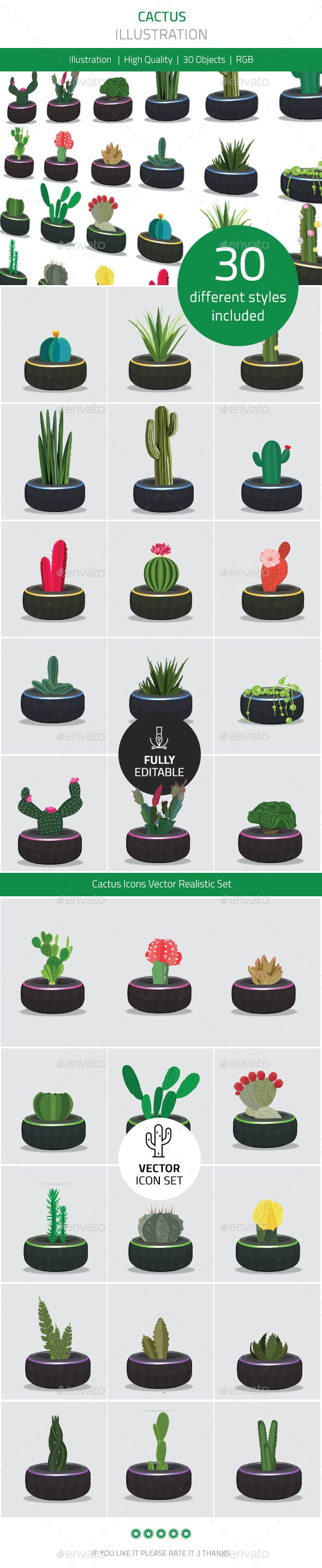 art beeco bundle cactus cactus set colorful green ILLUSTRATION  Plant vector